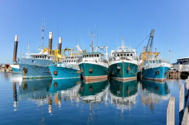 Trawlers moored at Fremantle Harbour